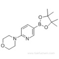 Morpholine,4-[5-(4,4,5,5-tetramethyl-1,3,2-dioxaborolan-2-yl)-2-pyridinyl] CAS 485799-04-0